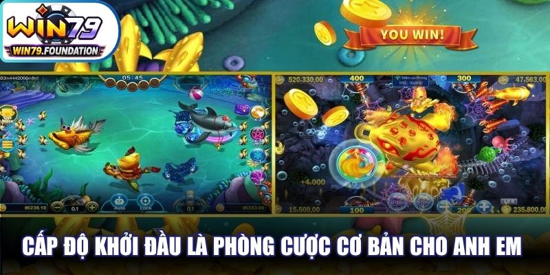 Cấp độ khởi đầu là phòng cược cơ bản cho anh em học hỏi kinh nghiệm